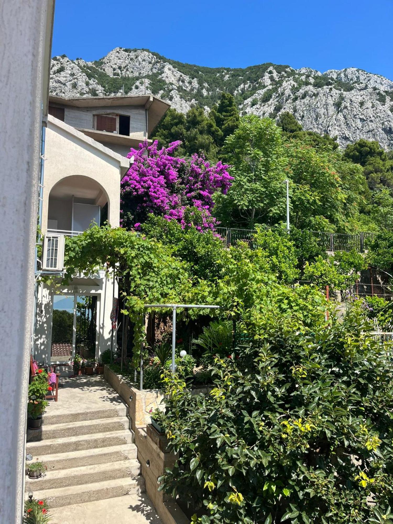 Apartment Davor Gradac  Kültér fotó